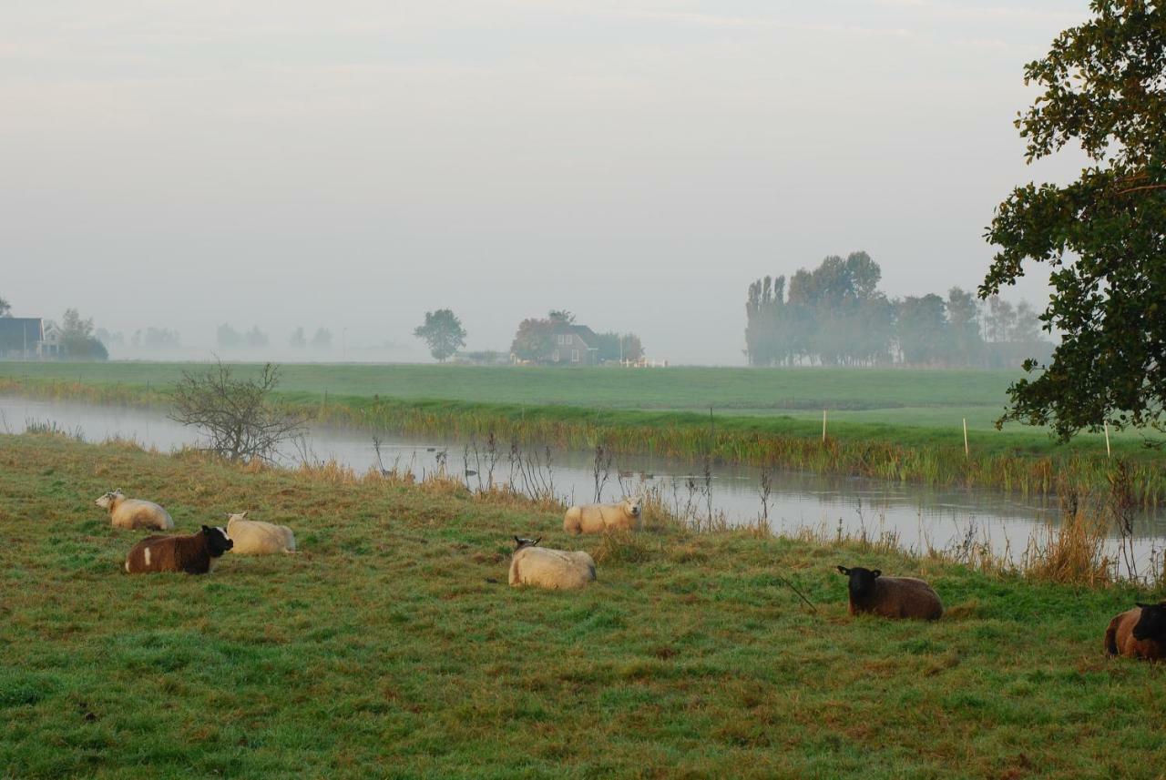Dobberhuisje Nieuwkoop ภายนอก รูปภาพ