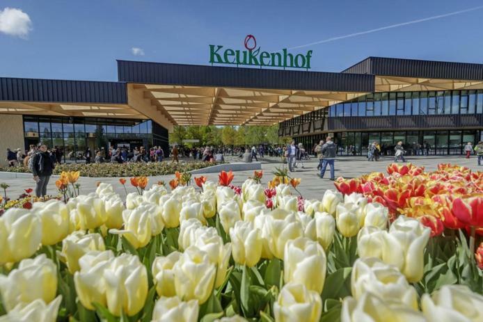 Dobberhuisje Nieuwkoop ภายนอก รูปภาพ